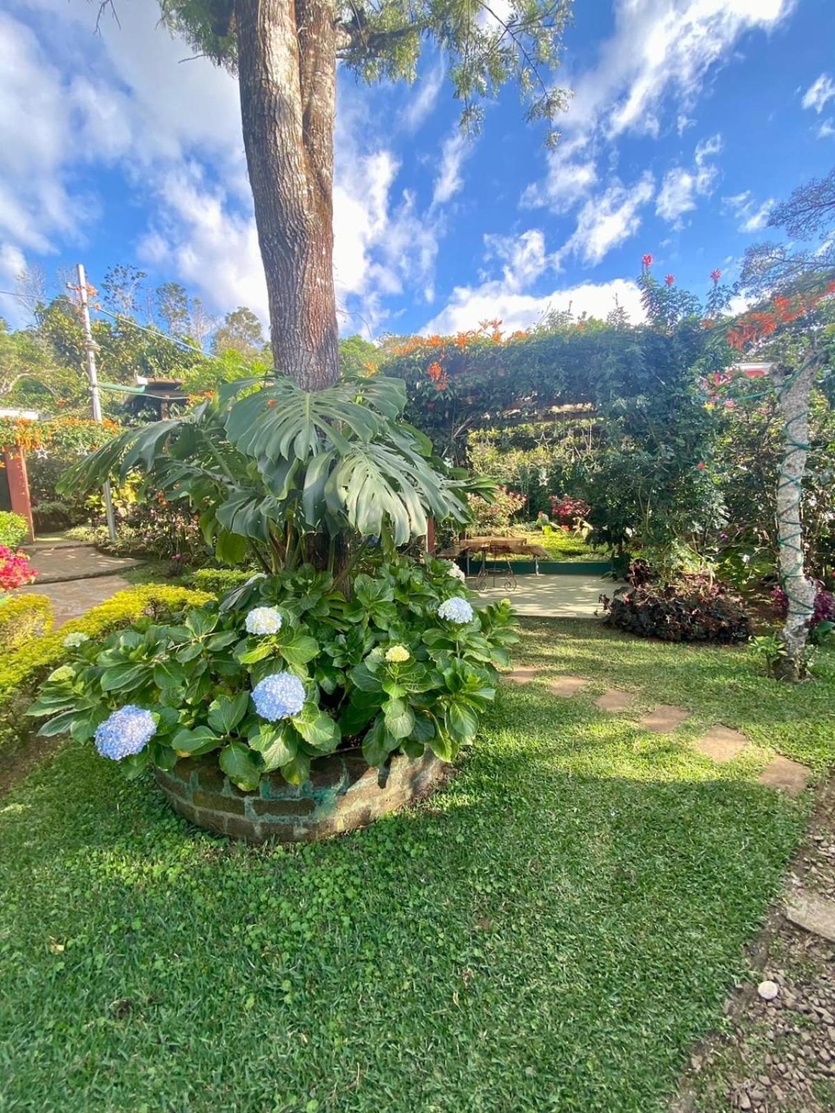 Villa Castillo De Ensueno Concepción de Ataco Eksteriør bilde